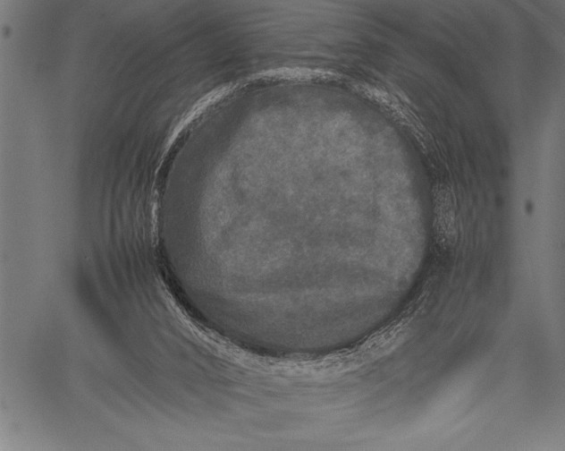 X0000057100016200509301629