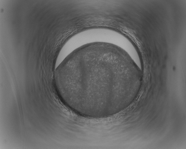 X0000057100017200509301629