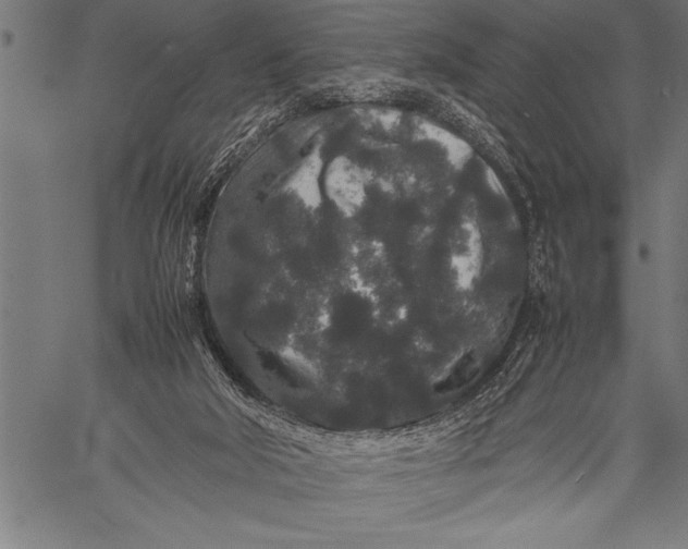 X0000057100018200509301629