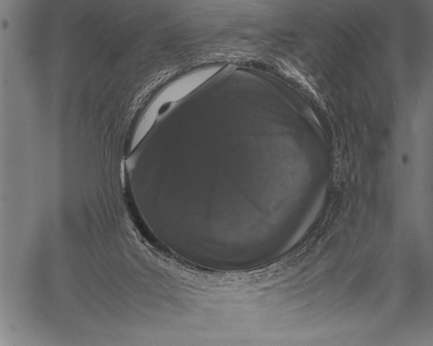 X0000057100019200509301629