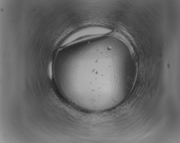 X0000057100020200509301629