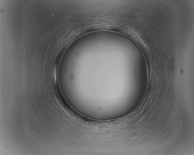 X0000057100021200509301629