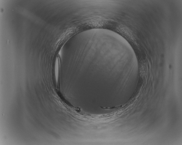 X0000057100023200509301629