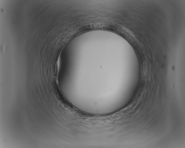 X0000057100025200509301629