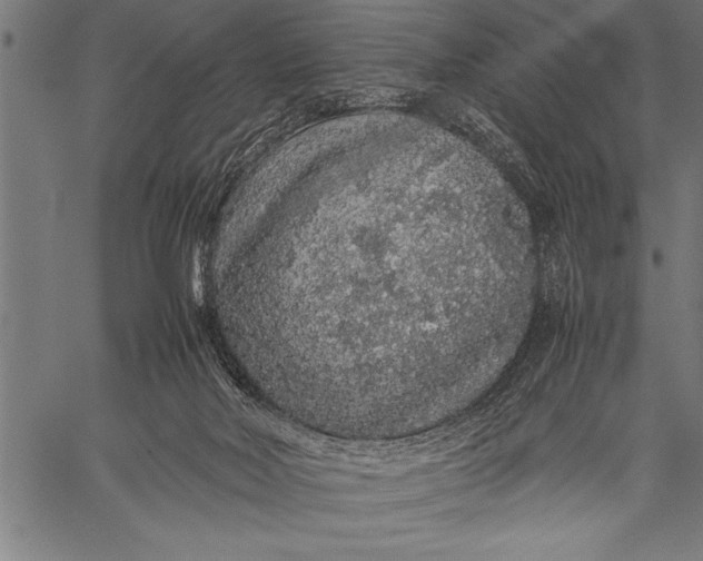 X0000057100026200509301629