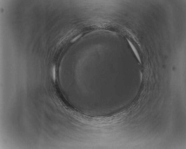 X0000057100027200509301629