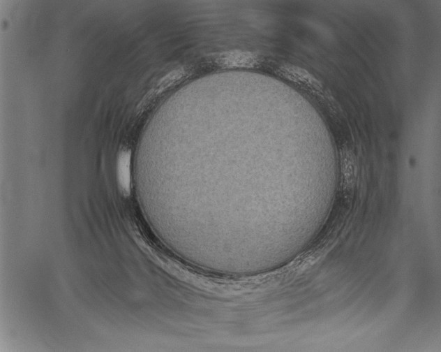 X0000057100028200509301628