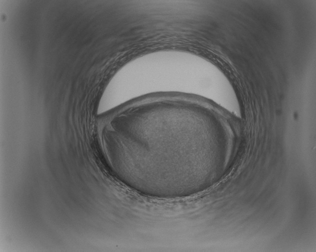 X0000057100029200509301628