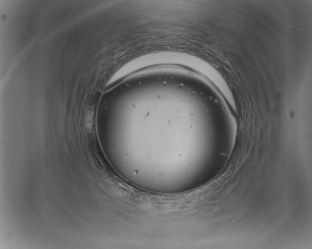 X0000057100033200509301628