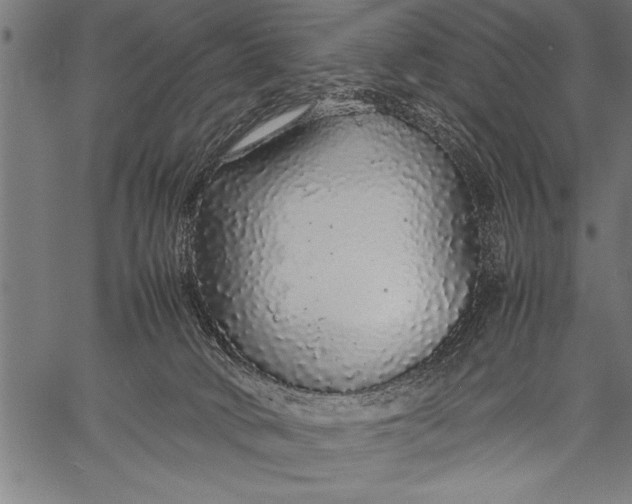 X0000057100034200509301628