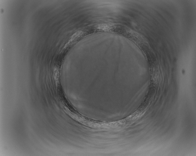 X0000057100036200509301628