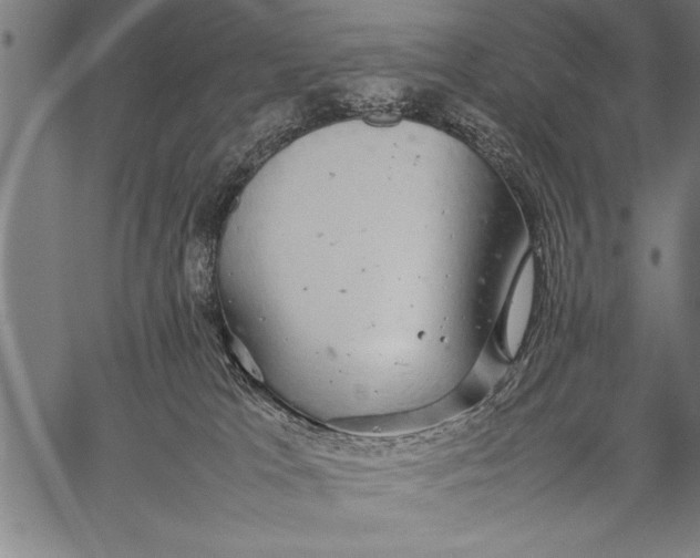 X0000057100037200509301628