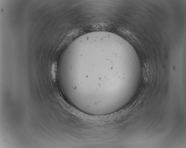 X0000057100038200509301628