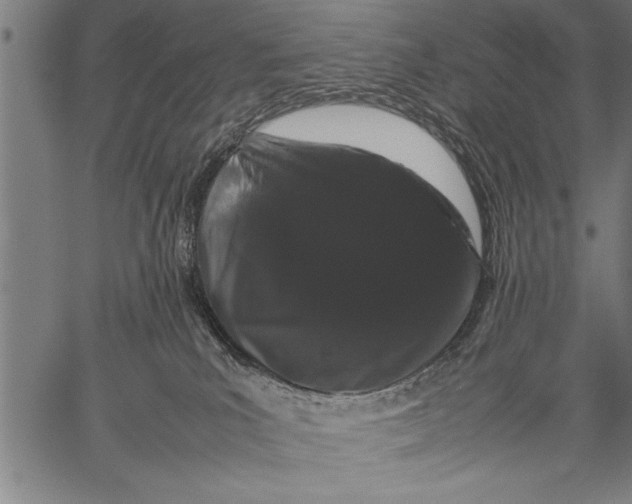 X0000057100039200509301628