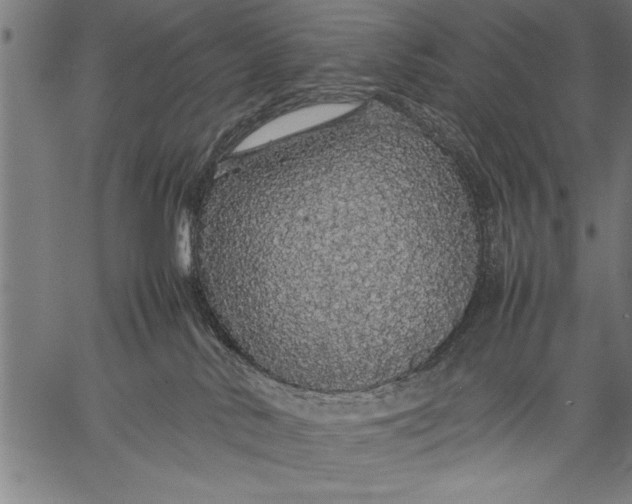 X0000057100042200509301628