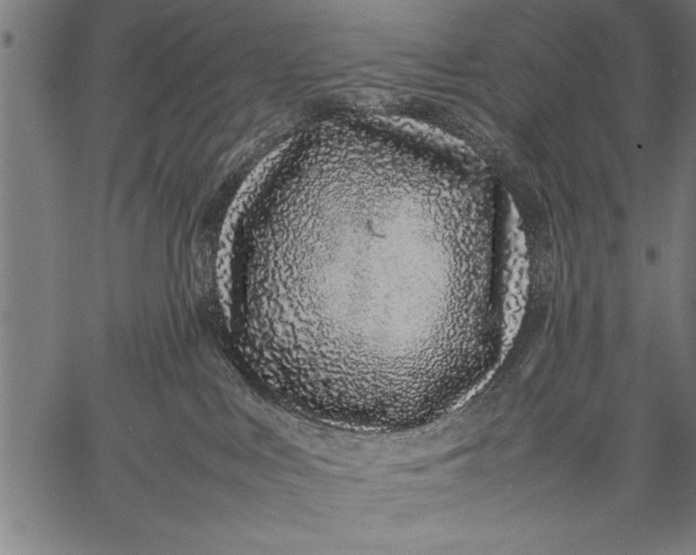 X0000057100043200509301628