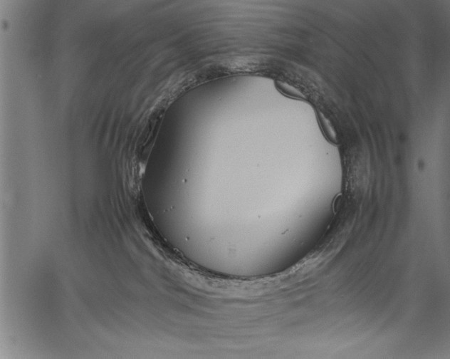 X0000057100044200509301628