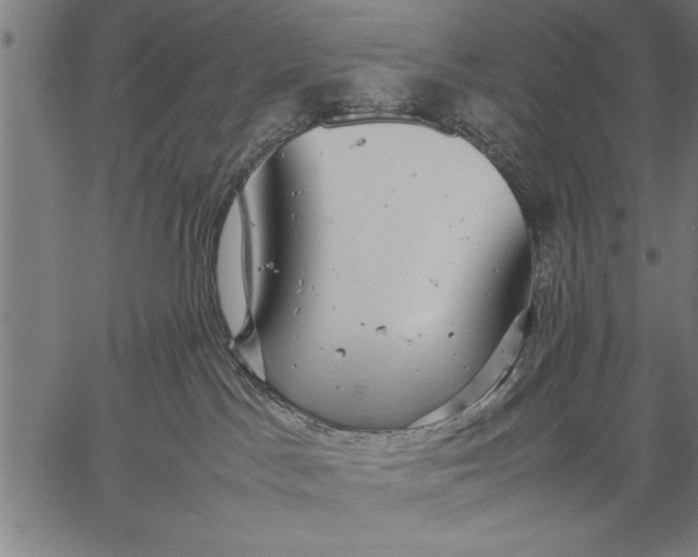 X0000057100045200509301628