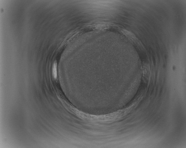 X0000057100046200509301628