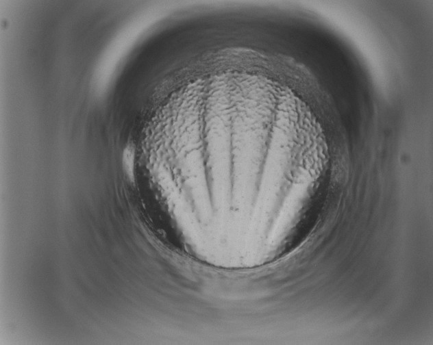 X0000057100047200509301628