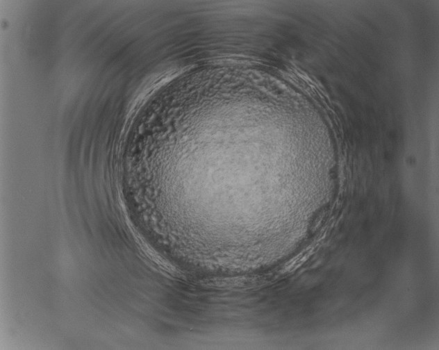 X0000057100049200509301627