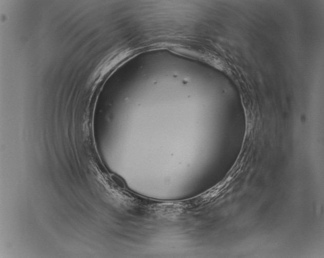 X0000057100050200509301627