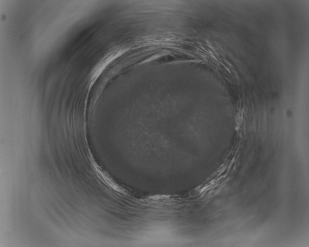 X0000057100052200509301627