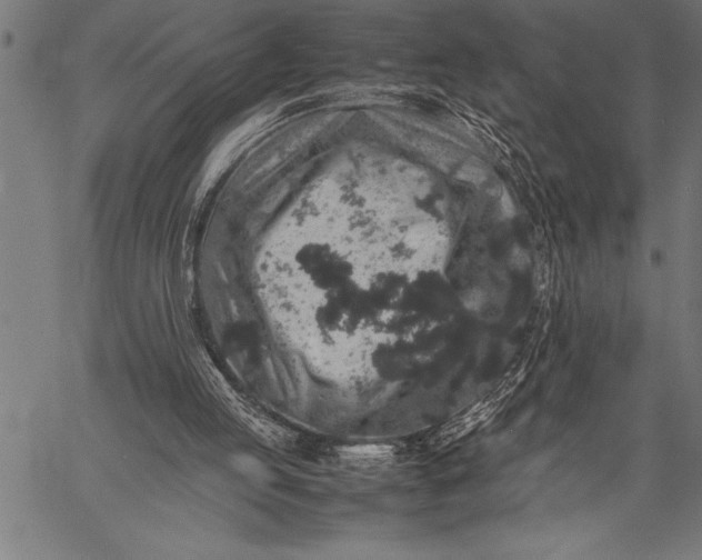 X0000057100053200509301627