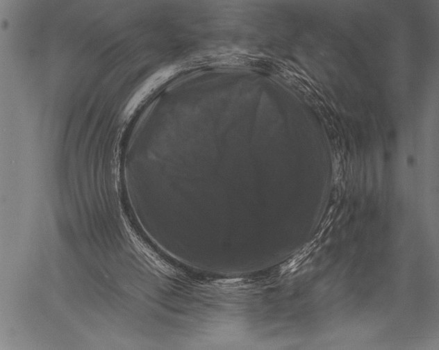 X0000057100054200509301627