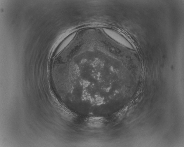 X0000057100055200509301627