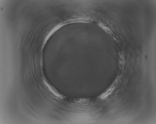 X0000057100056200509301627