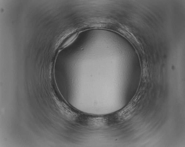 X0000057100058200509301627