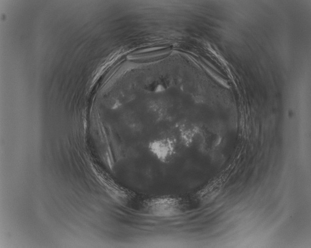 X0000057100059200509301628