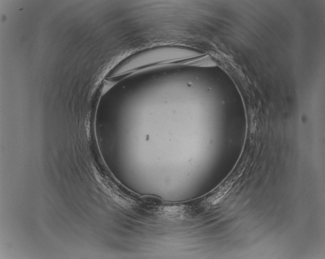 X0000057100060200509301628