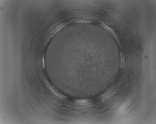 X0000057100061200509301628