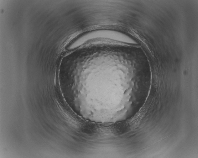 X0000057100062200509301628