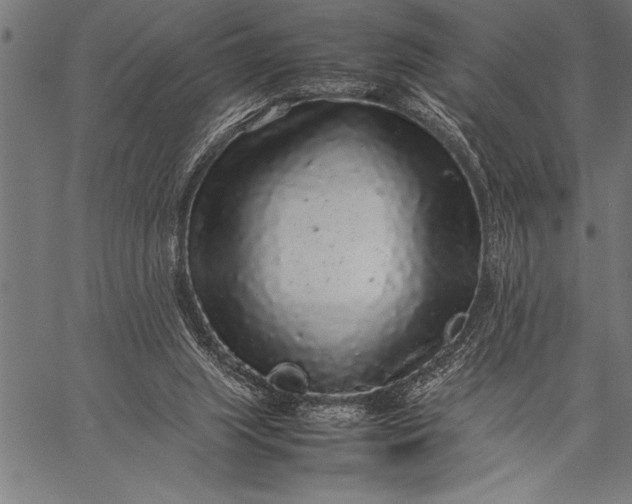 X0000057100063200509301628