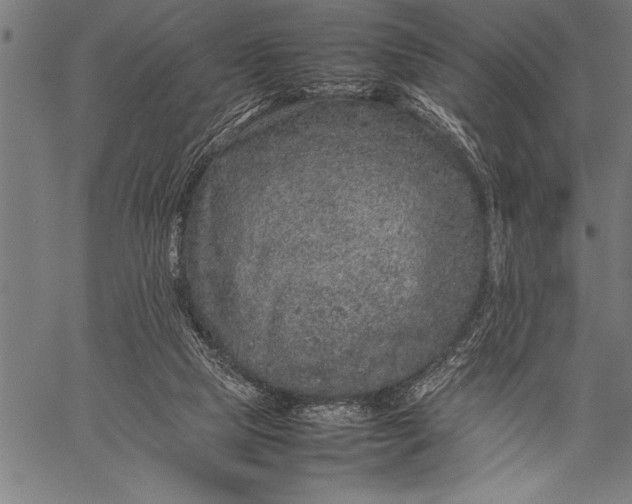 X0000057100065200509301628