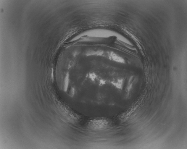 X0000057100067200509301628