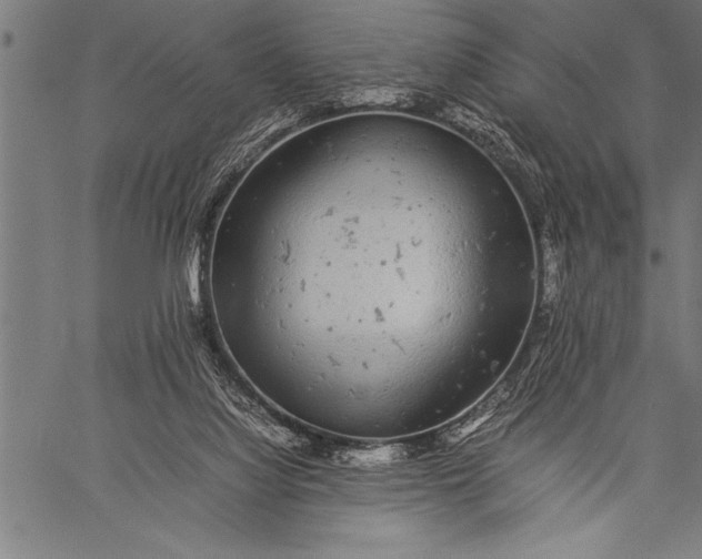 X0000057100068200509301628