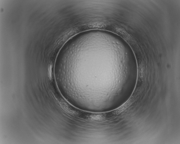 X0000057100070200509301628