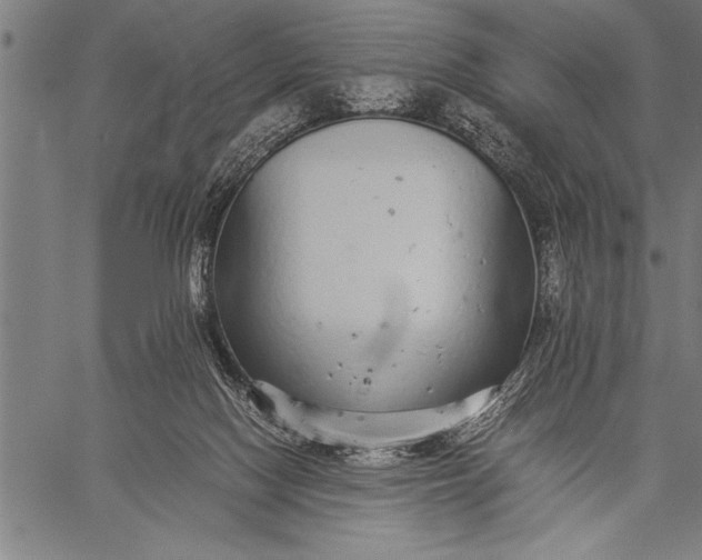 X0000057100074200509301628