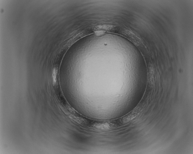 X0000057100075200509301628