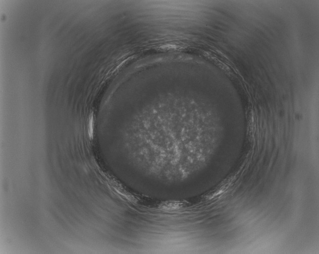 X0000057100076200509301628