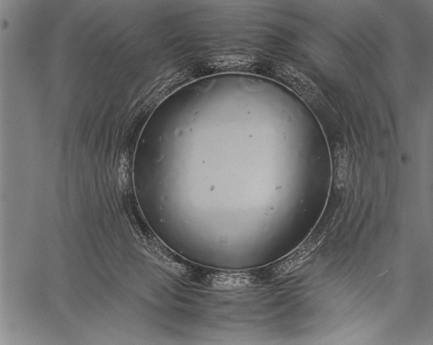 X0000057100077200509301628