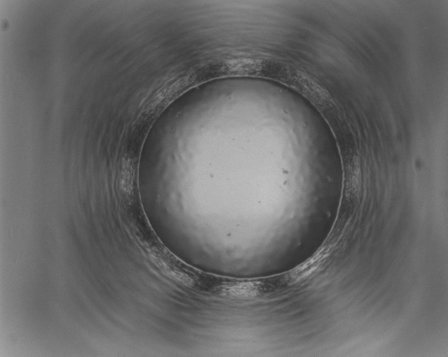 X0000057100078200509301628