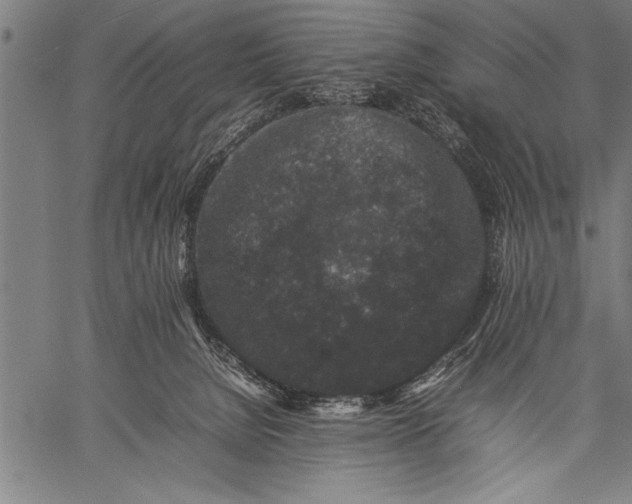 X0000057100080200509301628