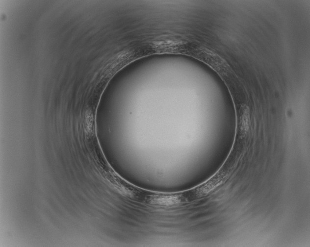 X0000057100081200509301628