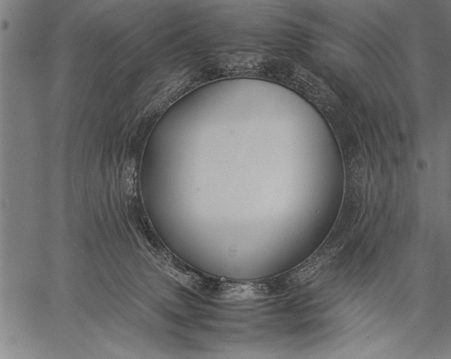 X0000057100083200509301628