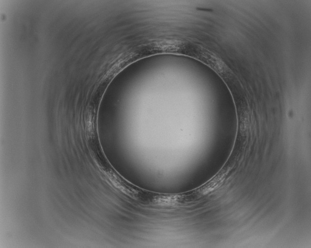 X0000057100084200509301628